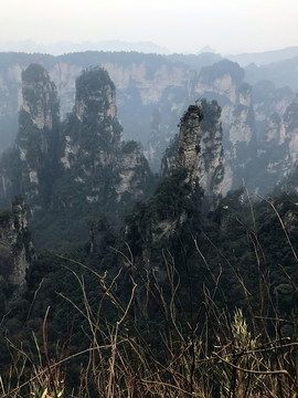 張家界 武陵源 著名景點 旅游