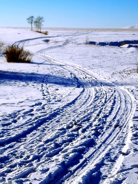 雪原車轍道路