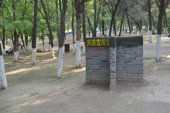 CS營(yíng)地