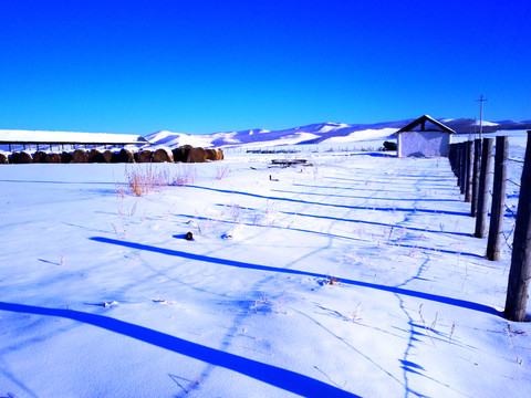 冬季雪原牧場(chǎng)