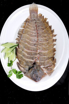 新西蘭鰈魚(yú)