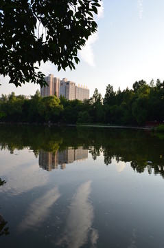 城市鏡像