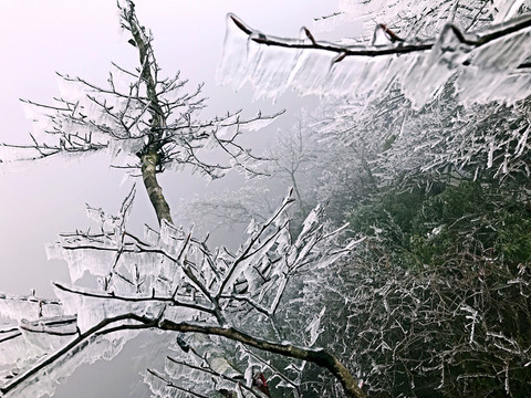張家界 天門山 著名景點 旅游