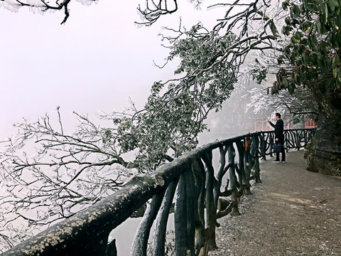 張家界 天門山 著名景點 旅游