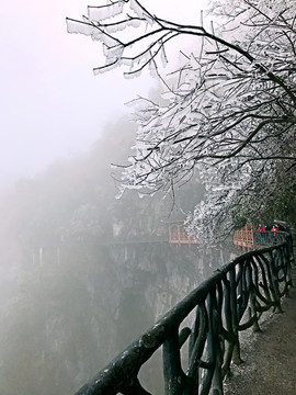 張家界 天門山 著名景點 旅游