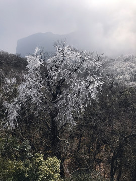 張家界 天門山 著名景點 旅游