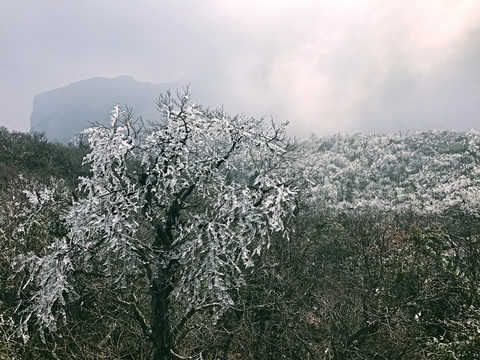 張家界 天門(mén)山 著名景點(diǎn) 旅游