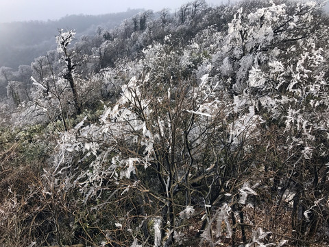 張家界 天門山 著名景點 旅游