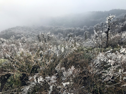 張家界 天門山 著名景點(diǎn) 旅游