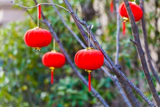 燈籠 節(jié)日元素