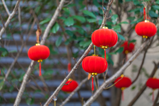 樹(shù)木春節(jié)布置