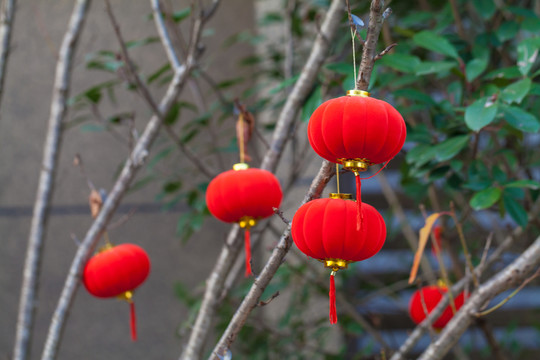 節(jié)日飾品 小燈籠