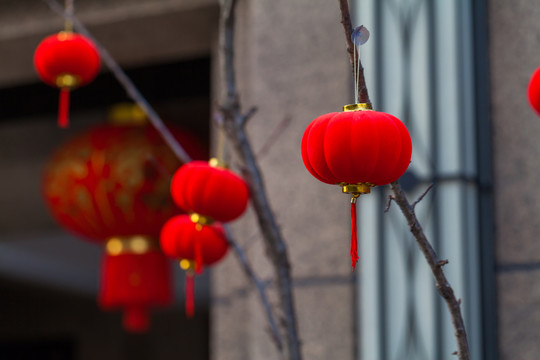 小區(qū)春節(jié)布置