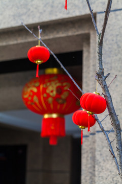 春節(jié)布置 春節(jié)裝飾