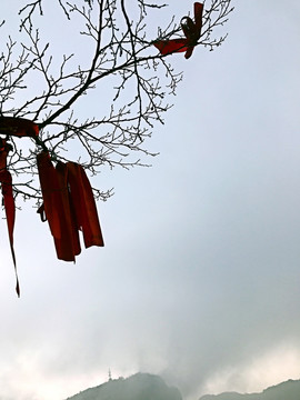 張家界 天門山 著名景點(diǎn) 旅游
