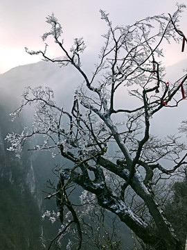 張家界 天門山 著名景點 旅游
