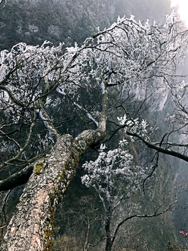 張家界 天門山 著名景點(diǎn) 旅游