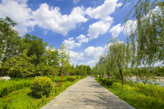 景觀路 藍天白云