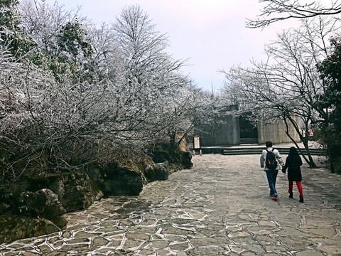 張家界 天門山 著名景點 旅游