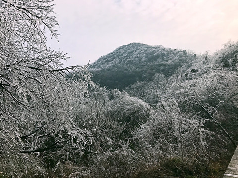 張家界 天門山 著名景點 旅游