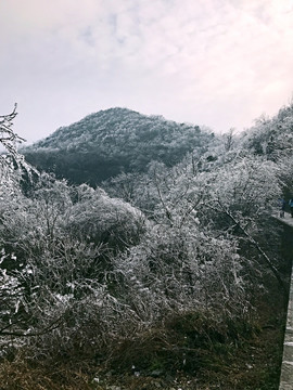 張家界 天門山 著名景點(diǎn) 旅游