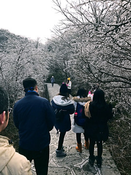 張家界 天門山 著名景點 旅游