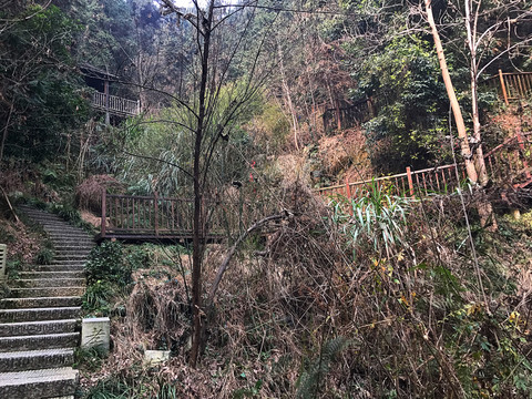 書堂山
