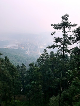 書堂山