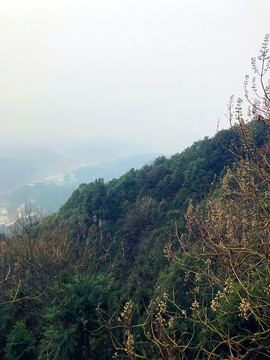 書堂山