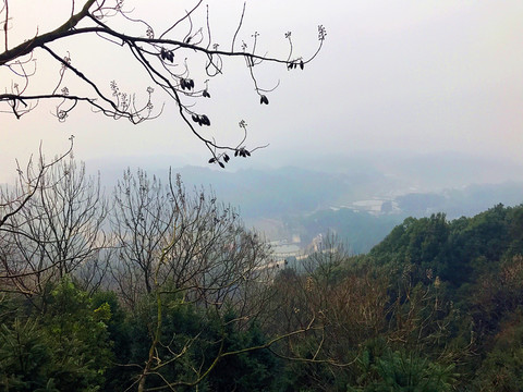 書堂山