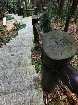 書堂山