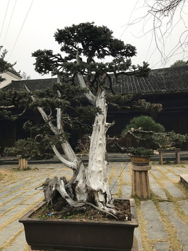 墨莊博物館