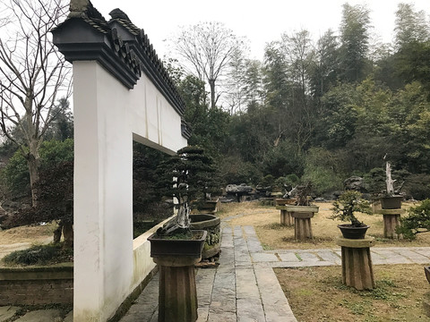 墨莊
