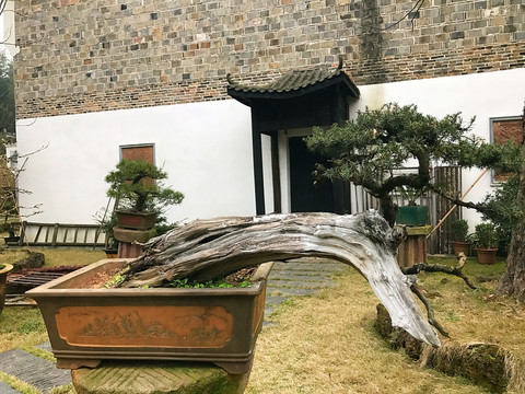 墨莊