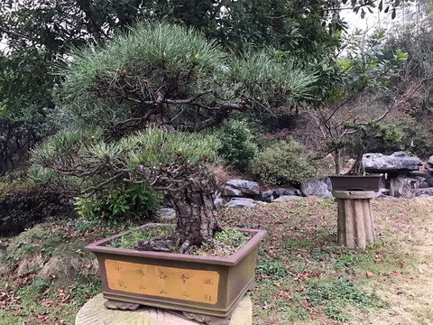 墨莊