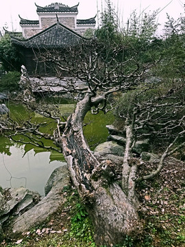 墨莊