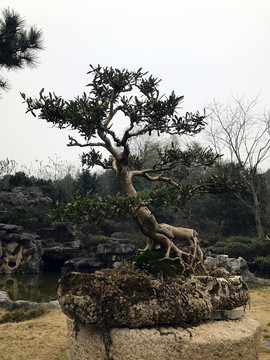 墨莊