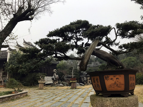 墨莊