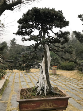 墨莊