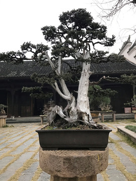 墨莊