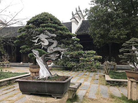 墨莊