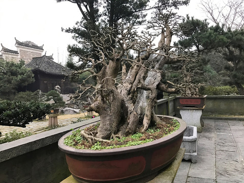 墨莊