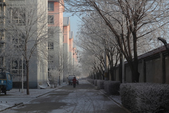樹掛