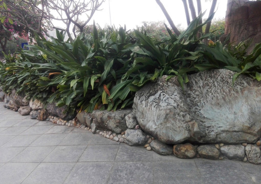 巖石和綠植2