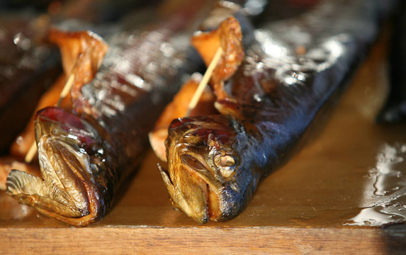 鱒魚