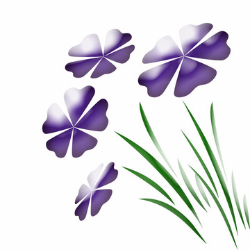 摘要花