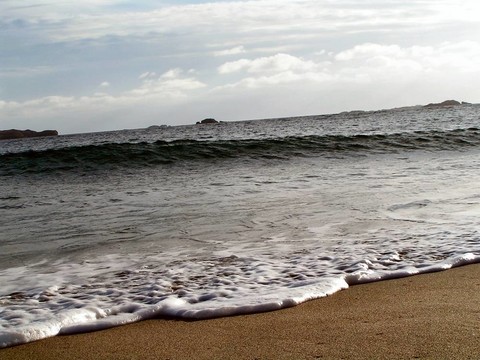 海灘沖浪
