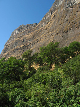 山體綠化