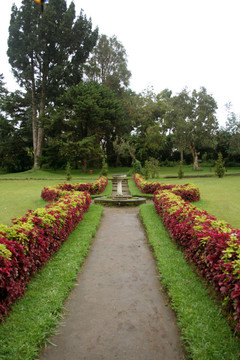 公園