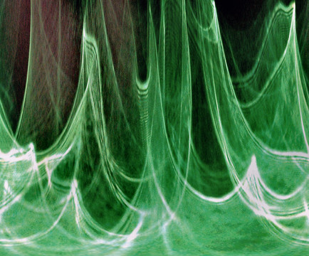 background0061